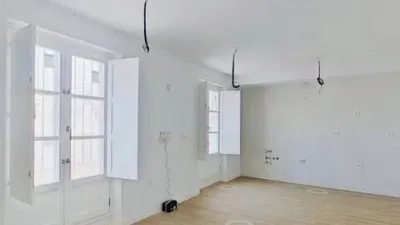 Penthouse on Rafael de la Viesca Street photo 4