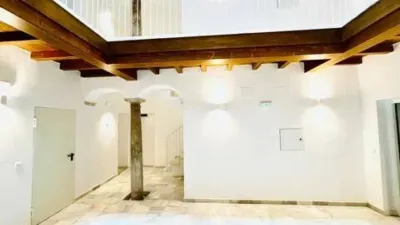 Penthouse on Rafael de la Viesca Street photo 16