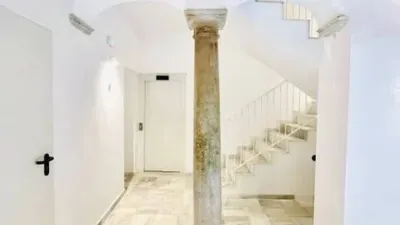 Apartment on Rafael de la Viesca Street photo 32