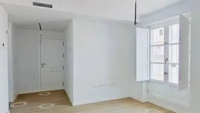 Penthouse on Rafael de la Viesca Street photo 3