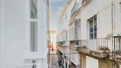 Apartment on Rafael de la Viesca Street photo 30