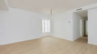 Apartment on Rafael de la Viesca Street photo 5
