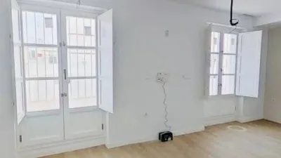 Penthouse on Rafael de la Viesca Street photo 5