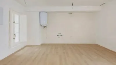 Apartment on Rafael de la Viesca Street photo 9