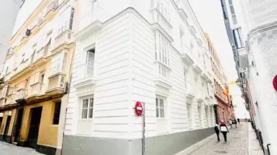 Apartment on Rafael de la Viesca Street photo 3