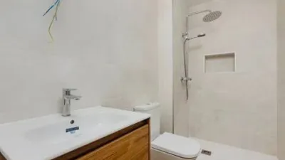 Apartment on Rafael de la Viesca Street photo 26