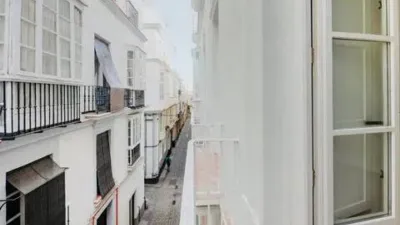 Apartment on Rafael de la Viesca Street photo 29