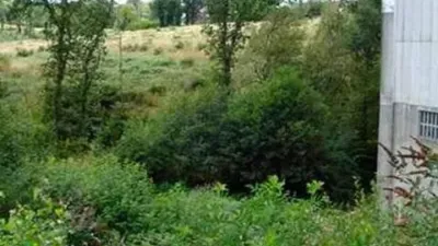 Terreno en venta en Ordes - Vista 2