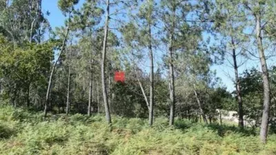 Terreno en venta en Campus Norte-San Caetano - Vista 4