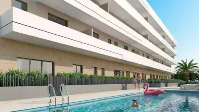 Pis – Elx - Elche - Vista 2