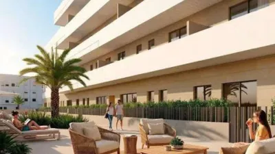 Pis – Elx - Elche - Vista 3