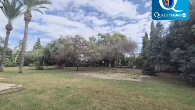 Casa – Elx - Elche - Vista 4