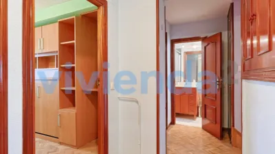 Apartment in Quintana photo 8