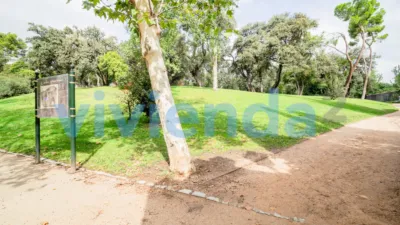 Apartment in Recoletos photo 43