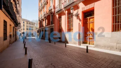 Apartment in Palacio photo 29