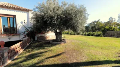 House in Seghers photo 50