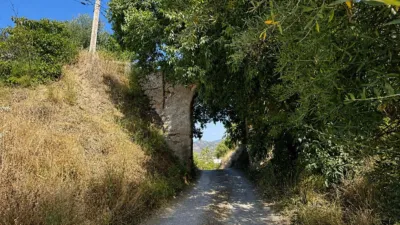 Rustic Finca in Coín photo 41