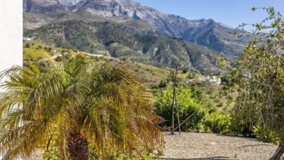 Villa in Canillas de Aceituno photo 61