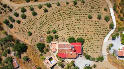 House in Canillas de Aceituno photo 2