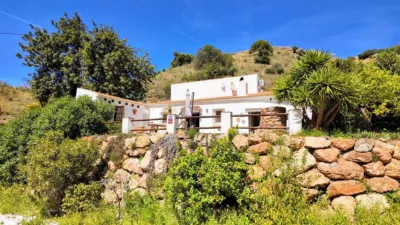 Rustic house in Almogía photo 3