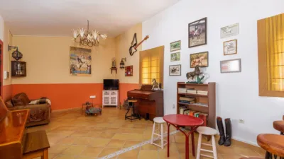 Rustic house in Morón de la Frontera photo 43