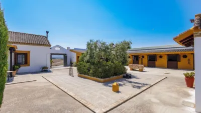 Rustic house in Morón de la Frontera photo 6
