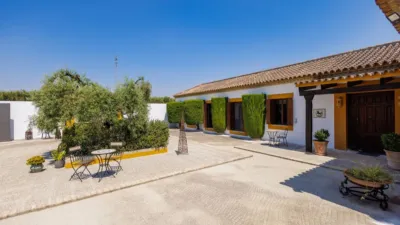 Rustic house in Morón de la Frontera photo 15