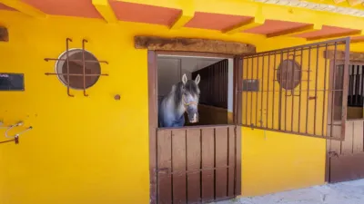Rustic house in Morón de la Frontera photo 8