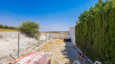 Rustic house in Morón de la Frontera photo 61
