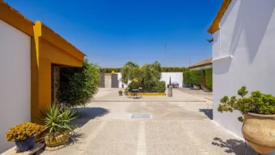 Rustic house in Morón de la Frontera photo 5