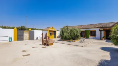Rustic house in Morón de la Frontera photo 14