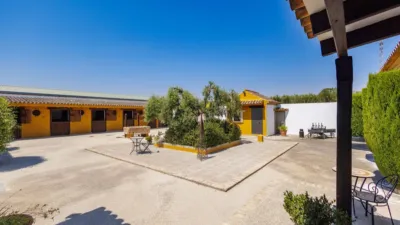 Rustic house in Morón de la Frontera photo 49