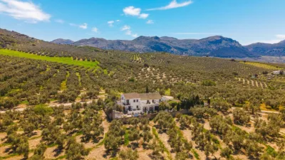 Rustic farmhouse in Villanueva del Trabuco photo 6