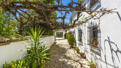 Rustic farmhouse in Villanueva del Trabuco photo 14