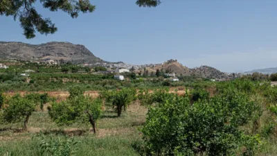 Rustic house in Álora photo 18