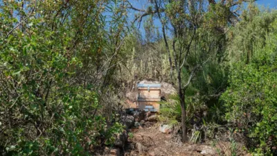 Rustic House in Almogía photo 35