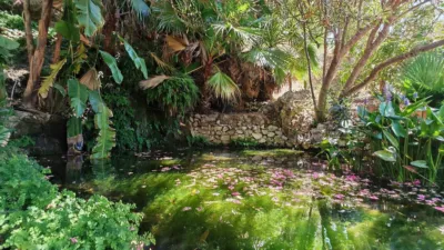 Rustic Finca in Alhaurín Golf photo 29