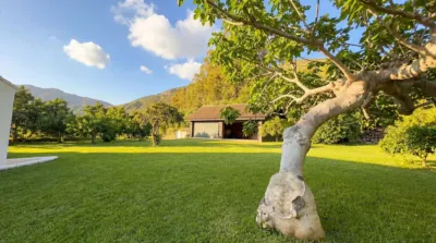 Rustic Finca in Alhaurín Golf photo 39