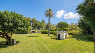 Rustic Finca in Alhaurín Golf photo 26