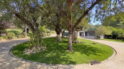 Rustic Finca in Alhaurín Golf photo 25