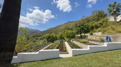 Rustic Finca in Alhaurín Golf photo 24