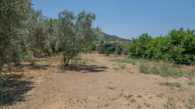 Rustic house in Álora photo 17