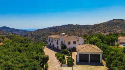 Rustic House in Canillas de Albaida photo 87