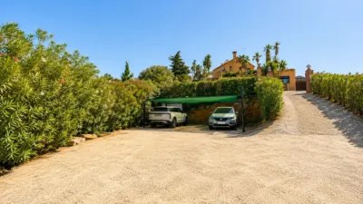 Rustic Finca in Gibralgalia photo 39