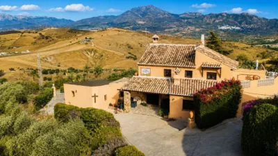 Rustic Finca in Gibralgalia photo 3
