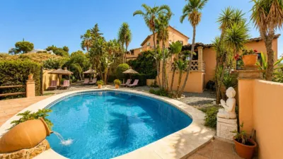 Rustic Finca in Gibralgalia photo 19