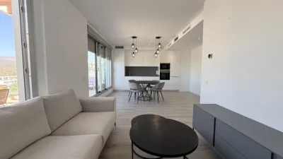 Duplex Penthouse in Bel-Air-Cancelada-Saladillo photo 4