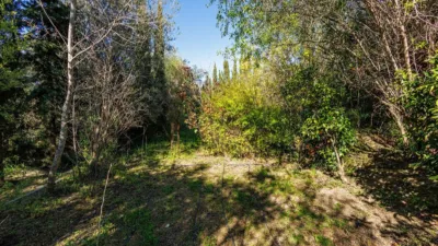 House in El Valle photo 104