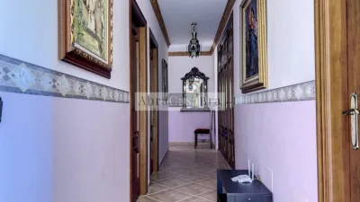 House in Canillas de Aceituno photo 14