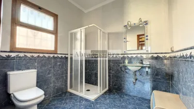 House in Canillas de Aceituno photo 22